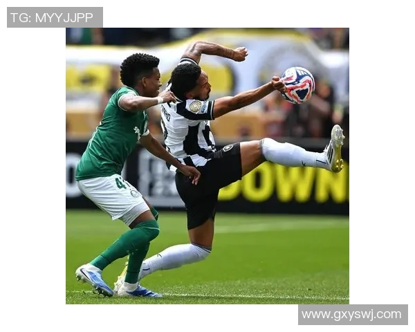 博塔弗戈与桑托斯激战正酣比分悬念不断精彩瞬间回顾 博塔弗戈与桑托斯激战正酣比分悬念不断精彩瞬间回顾